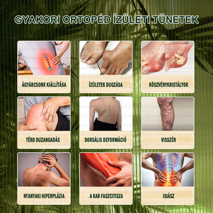 PLTOWE® Arnebia Ízületi és Csontfájdalom Enyhítő Krém (AAOS ajánlja)